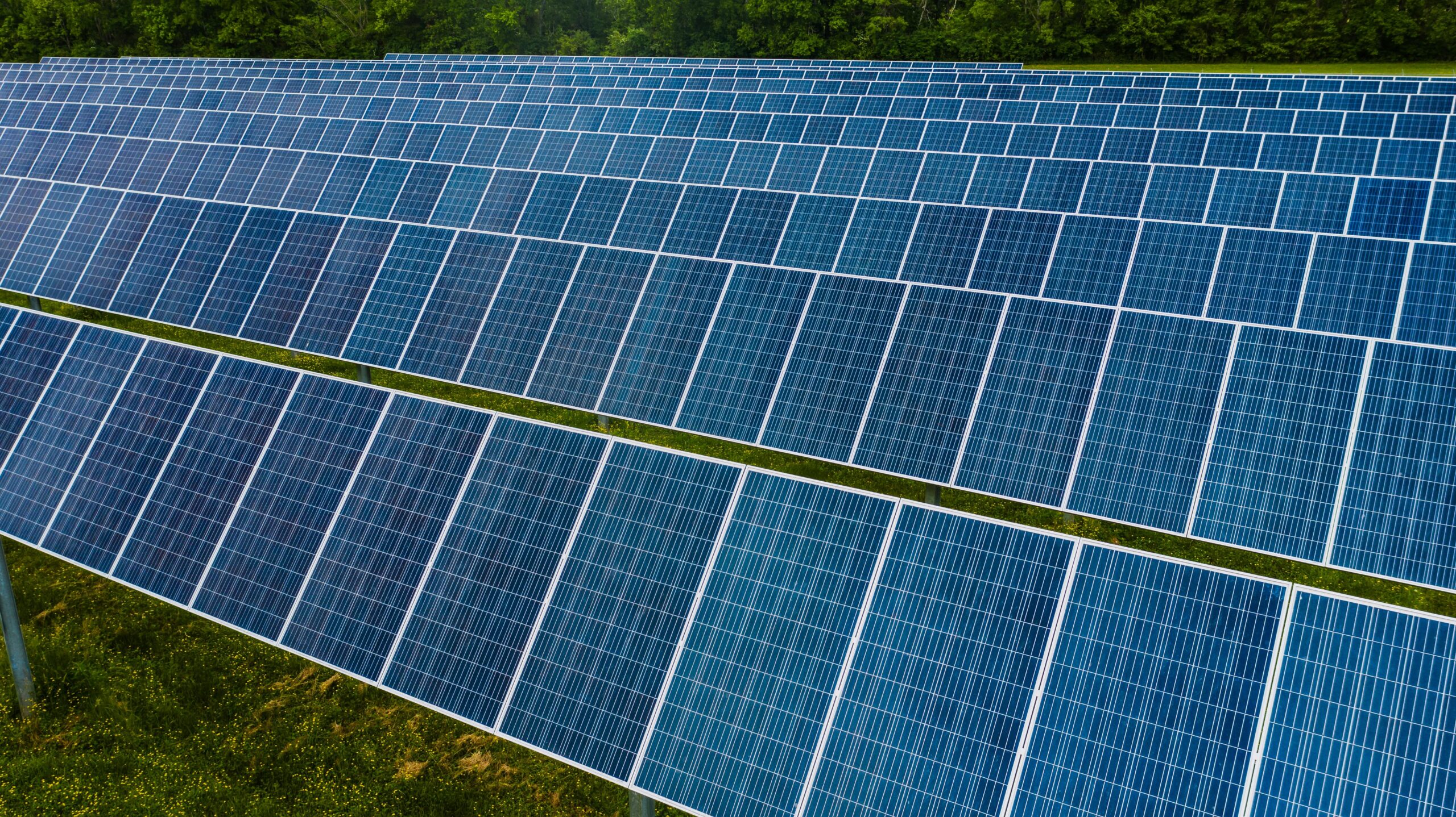 Rows of blue solar panels tilted on metal frames in a grassy field with trees in the background.